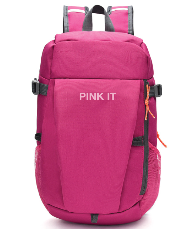 Ghiozdan Gimnaziu Pink It 2 Fermoare Pigna