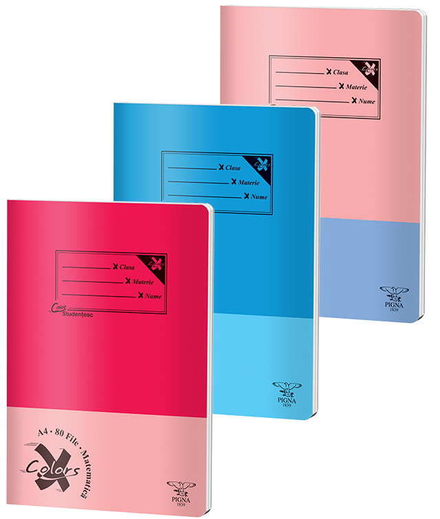 Caiet A4 80 File Aritmetica Basic Pigna