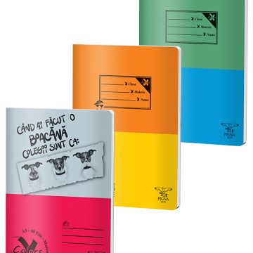 Caiet A5 48 File Aritmetica Basic Pigna