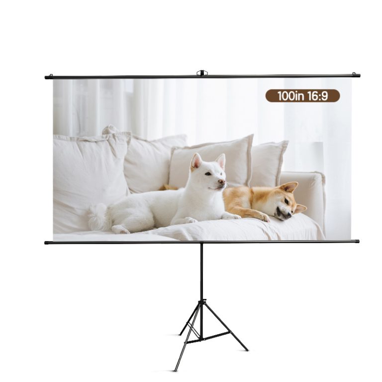 Ecran Proiectie 220 X 124.5cm Manual Pe Trepied Deli