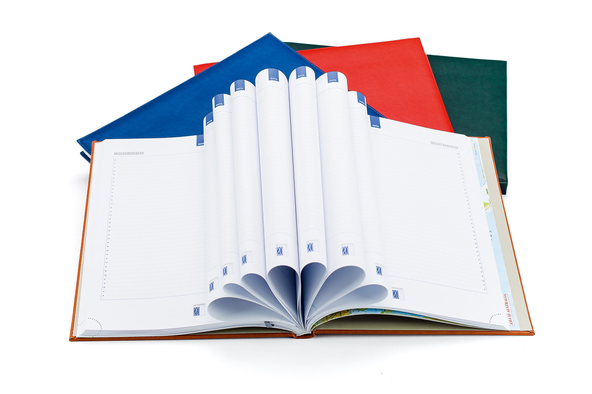 Agenda A4 Nedatata Rosie Activ Ego
