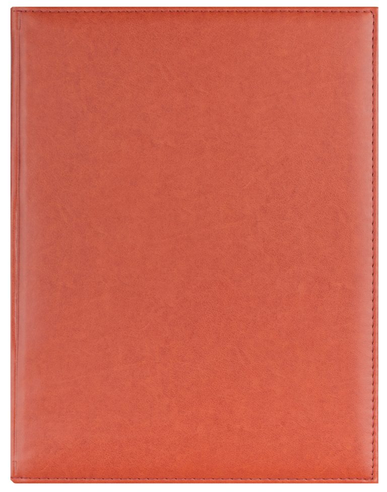 Agenda A4 Nedatata Maro Activ Ego
