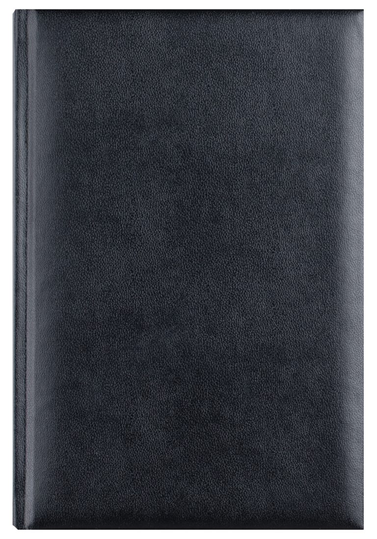 Agenda A5 Zilnica Neagra 2026 Basic Ego