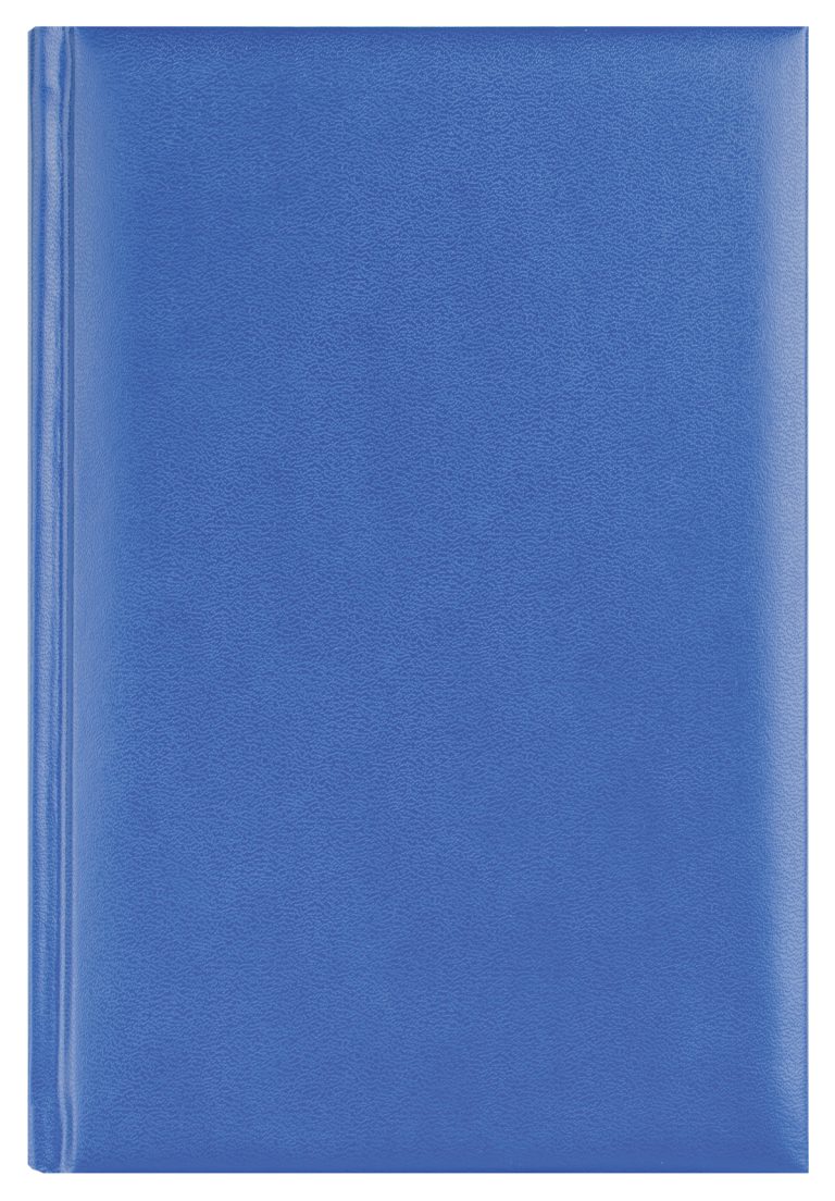 Agenda A5 Zilnica Albastra 2026 Basic Ego
