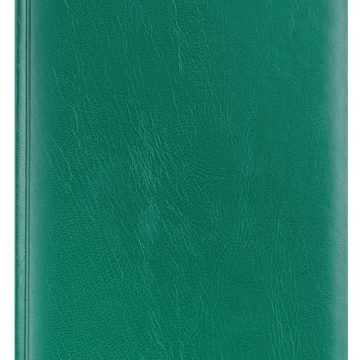 Agenda A5 Zilnica Verde 2026 Basic Ego