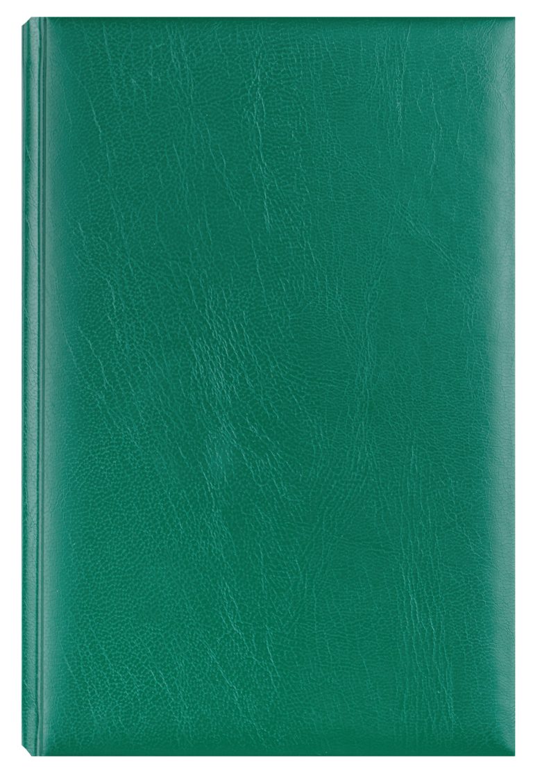 Agenda A5 Zilnica Verde 2026 Basic Ego