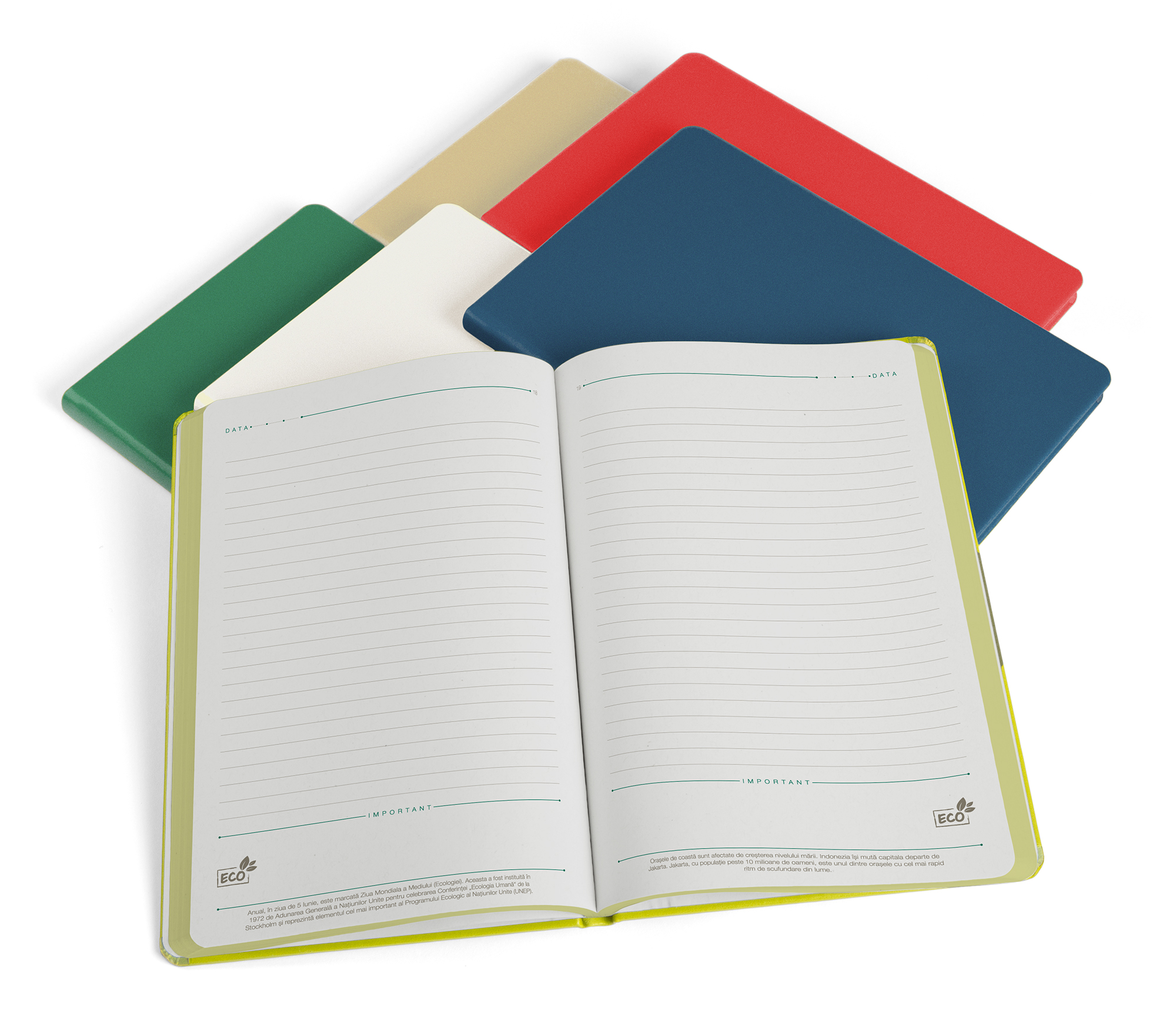 Agenda A5 Nedatata Verde Eco Ego