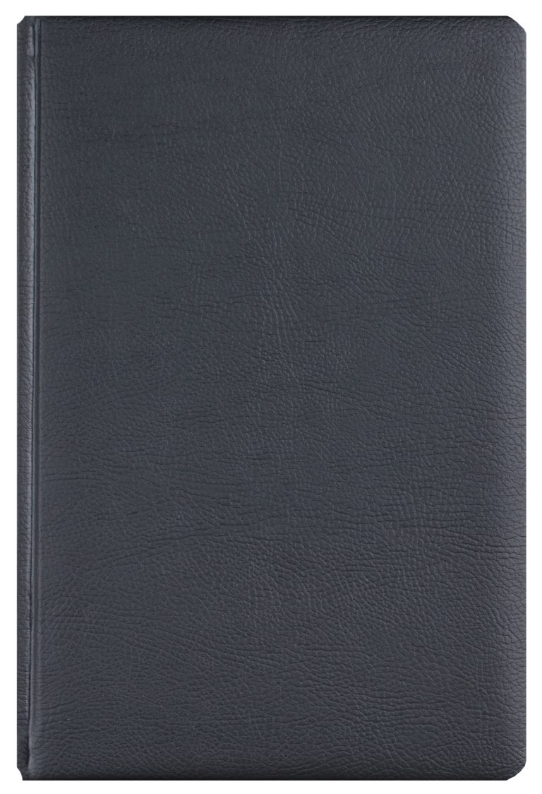 Agenda A5 Zilnica Negru 2026 Office  Ego