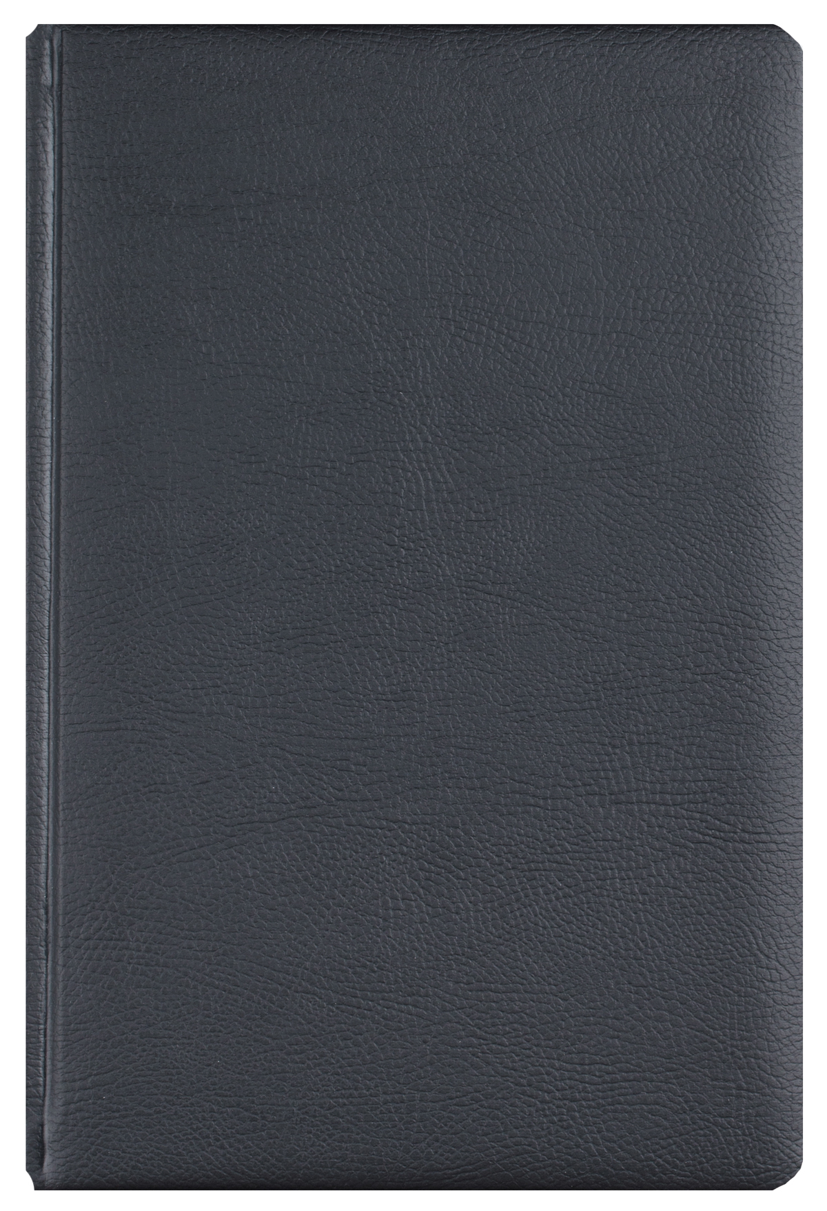 Agenda A5 Zilnica Negru 2026 Office Ego