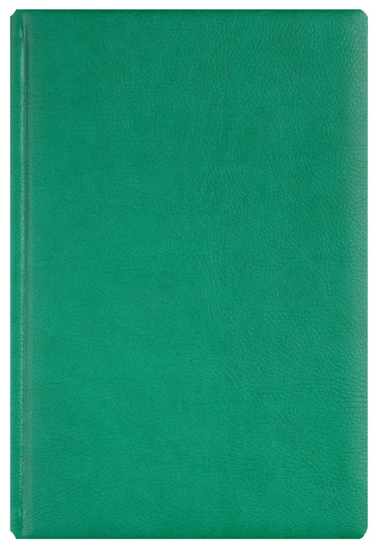 Agenda A5 Zilnica Verde 2026 Office Ego