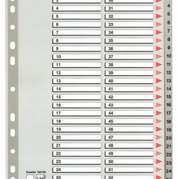 Separatoare Index Plastic 1-54 Maxi Esselte