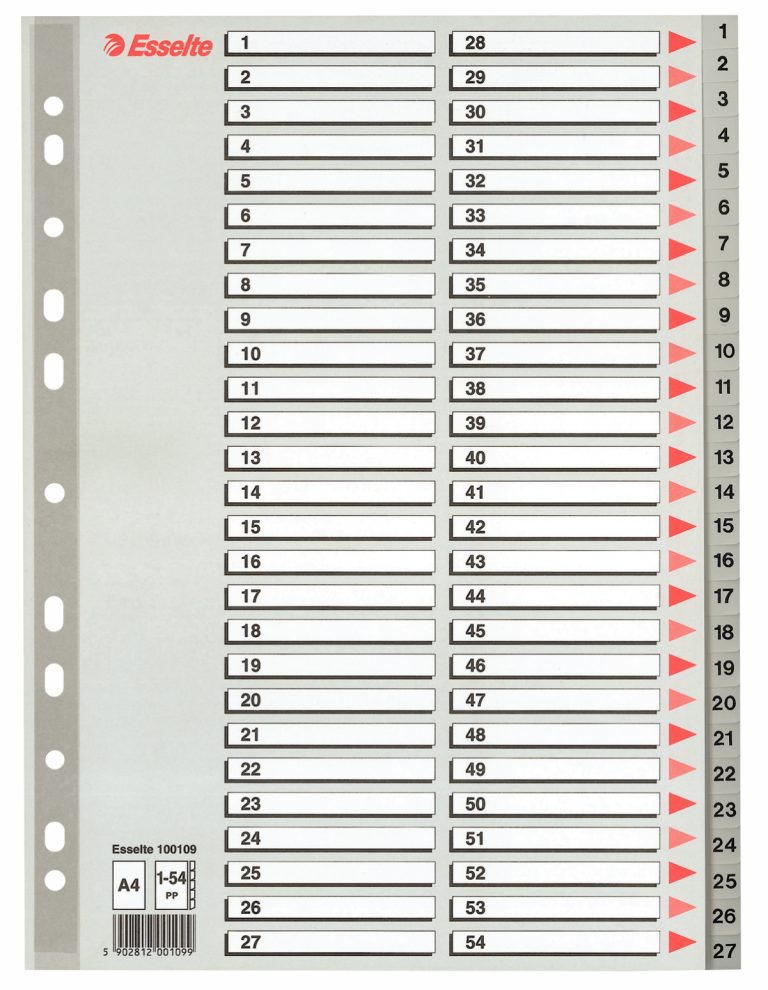 Separatoare Index Plastic 1-54 Maxi Esselte