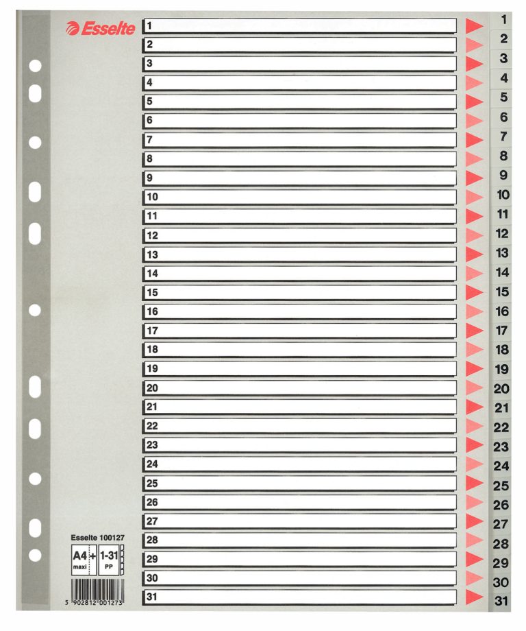 Separatoare Index Plastic 1-31 Maxi Esselte