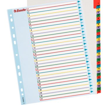 Separatoare Index Plastic 1-31 Reinscriptibil Esselte