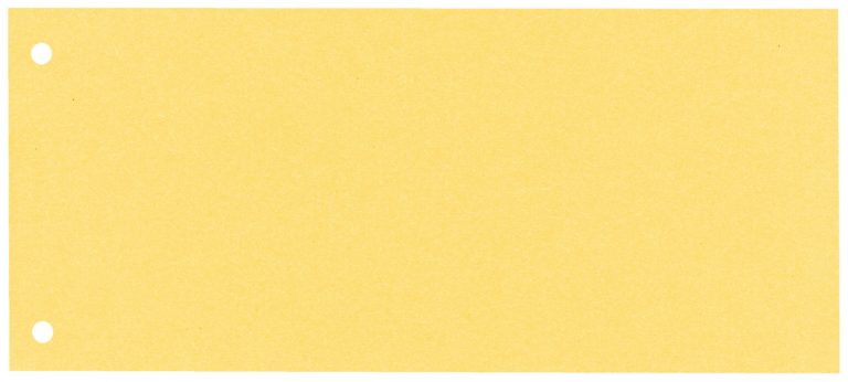 Separatoare Carton 105*240mm Galbene Esselte
