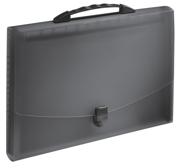 Mapa Plastic 12 Compartimente Cu Maner Neagra Vivida Esselte