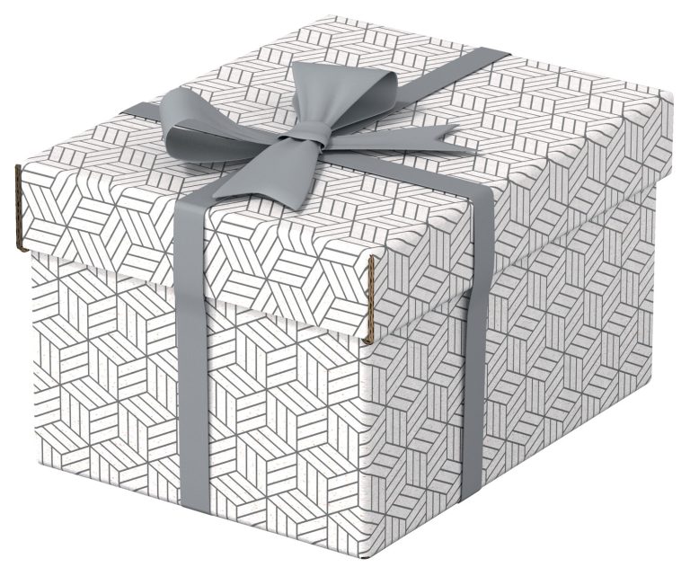 Cutie Depozitare Cu Capac 25 X 20 X 15cm Alba Recycled Esselte