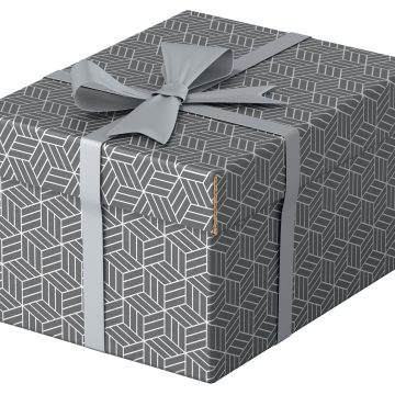 Cutie Depozitare Cu Capac 25 X 20 X 15cm Gri Recycled Esselte