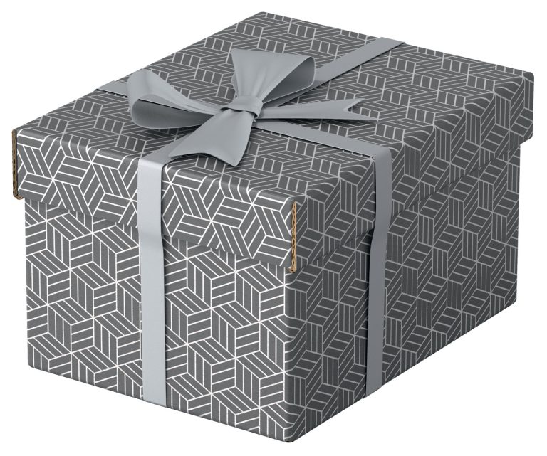 Cutie Depozitare Cu Capac 25 X 20 X 15cm Gri Recycled Esselte