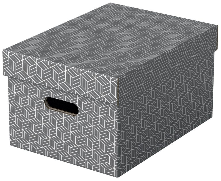 Cutie Depozitare Cu Capac 36 X 26 X 20cm Gri Recycled Fsc 3/Set Esselte