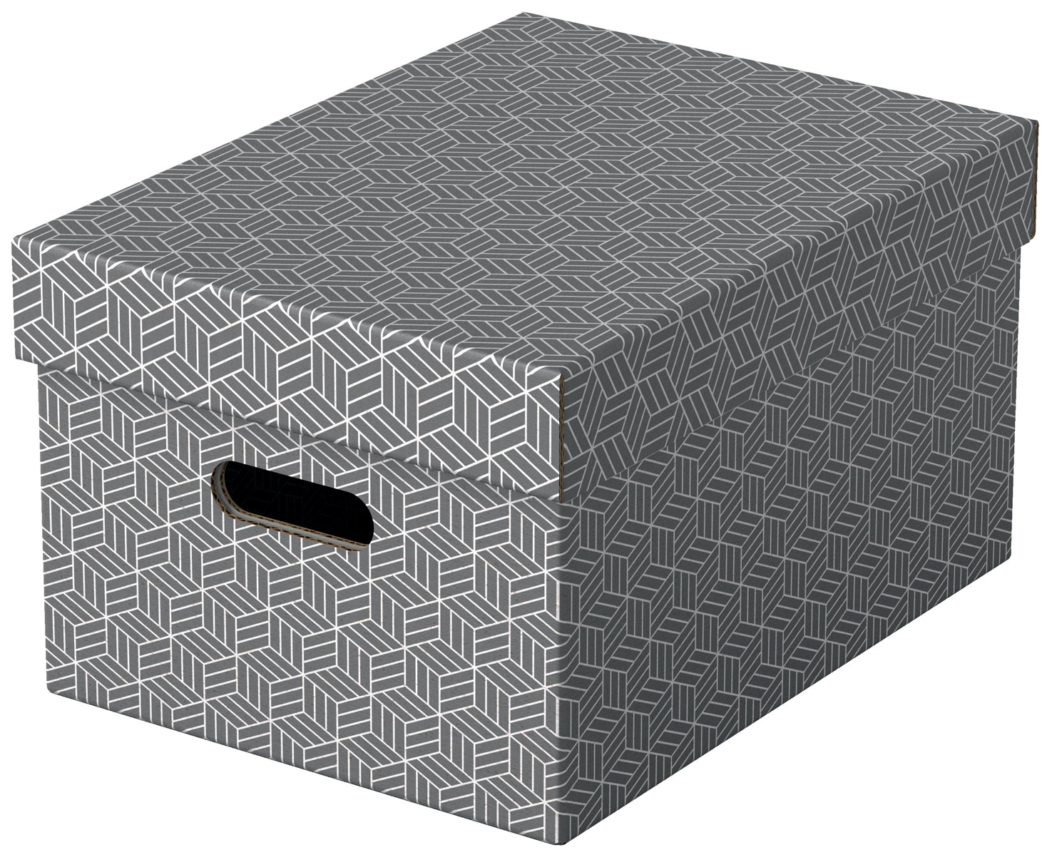 Cutie Depozitare Cu Capac 36 X 26 X 20cm Gri Recycled Fsc 3/Set Esselte