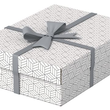 Cutie Depozitare Cu Capac 36 X 26 X 10cm Alba Recycled Esselte