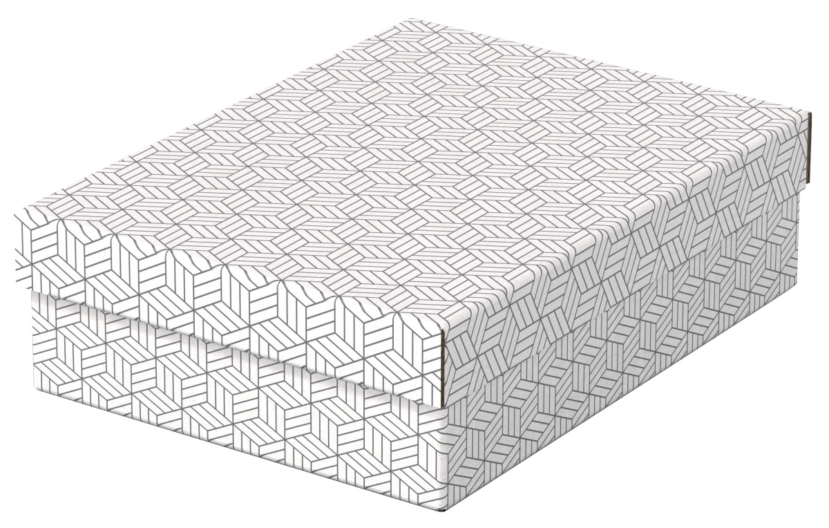 Cutie Depozitare Cu Capac 36 X 26 X 10cm Alba Recycled Esselte