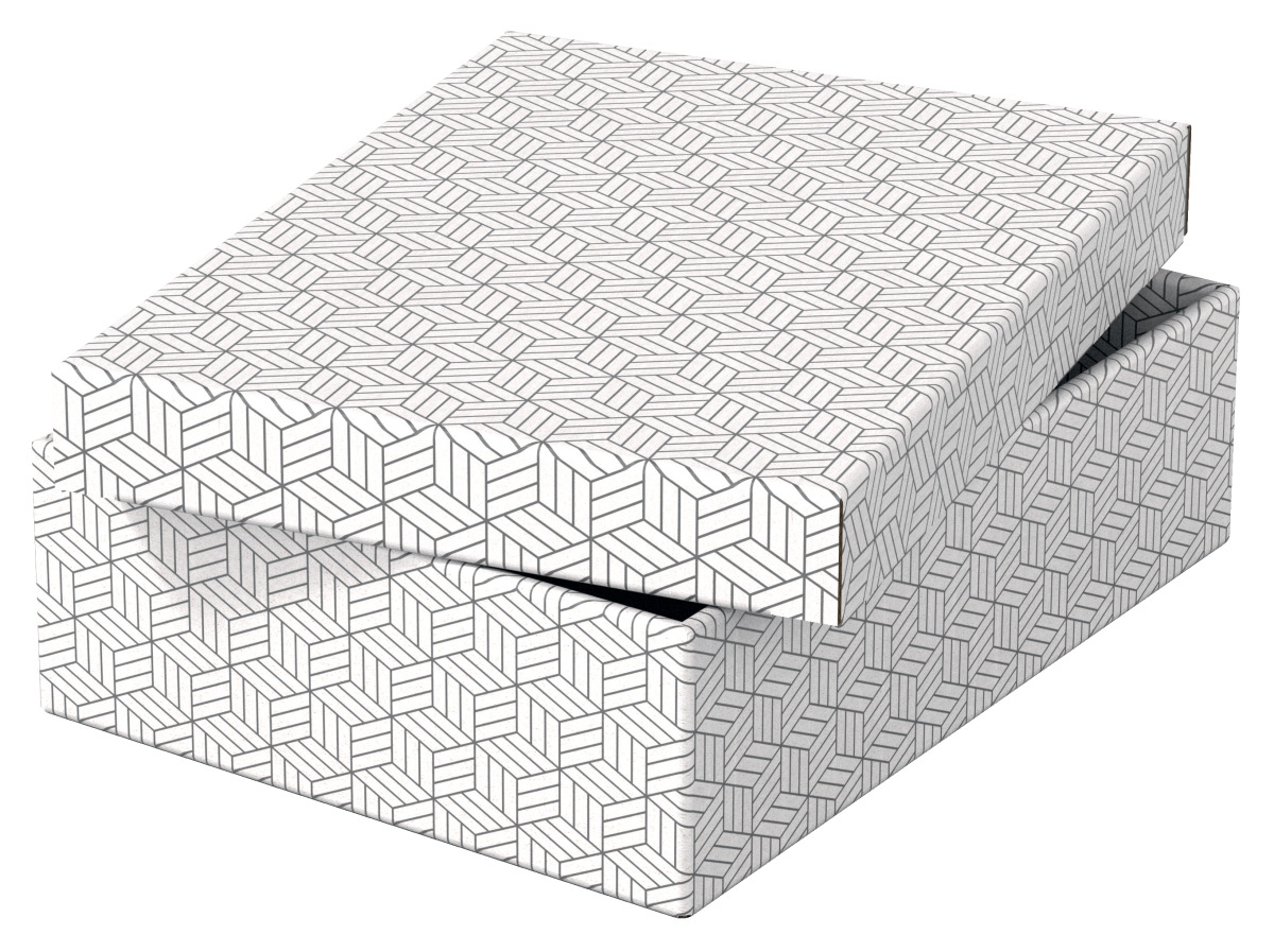 Cutie Depozitare Cu Capac 36 X 26 X 10cm Alba Recycled Esselte