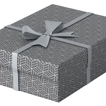 Cutie Depozitare Cu Capac 36 X 26 X 10cm Gri Recycled Esselte