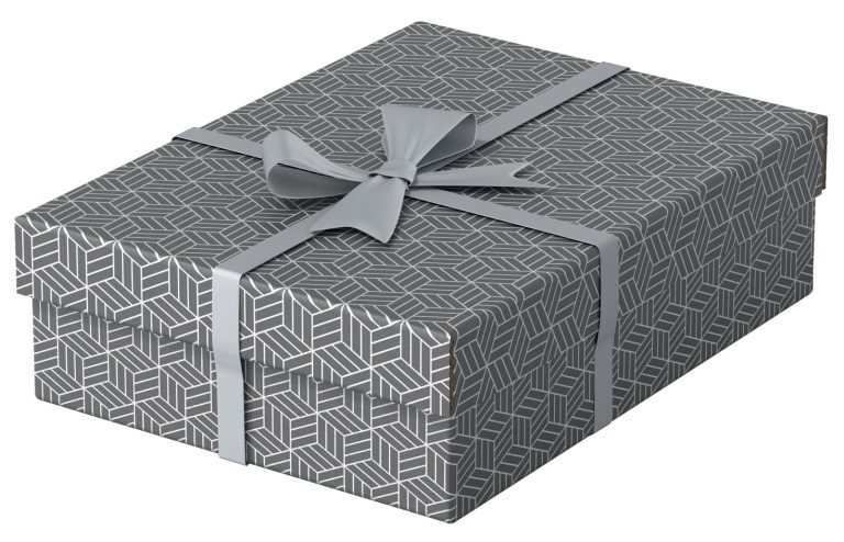 Cutie Depozitare Cu Capac 36 X 26 X 10cm Gri Recycled Esselte