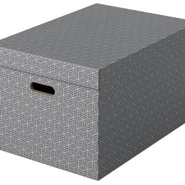 Cutie Depozitare Cu Capac 51 X 35 X 30cm Gri Recycled Fsc 3/Set Esselte