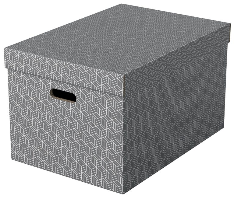 Cutie Depozitare Cu Capac 51 X 35 X 30cm Gri Recycled Fsc 3/Set Esselte