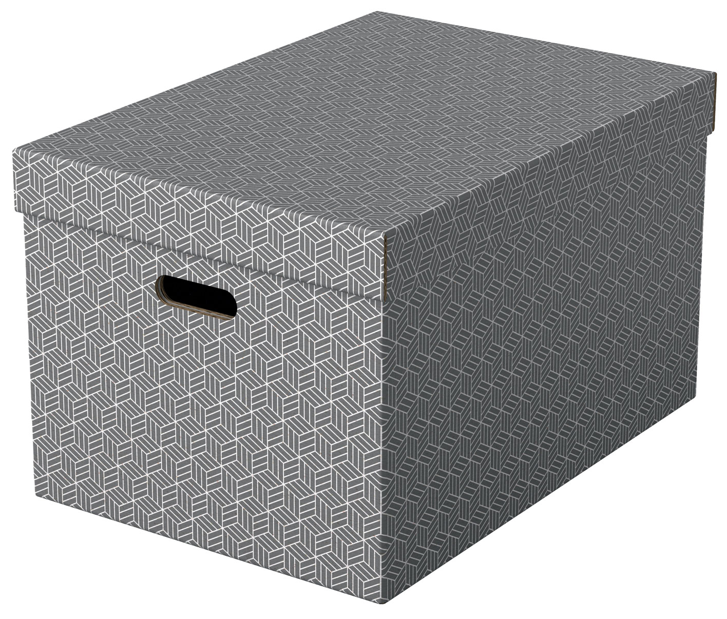 Cutie Depozitare Cu Capac 51 X 35 X 30cm Gri Recycled Fsc 3/Set Esselte