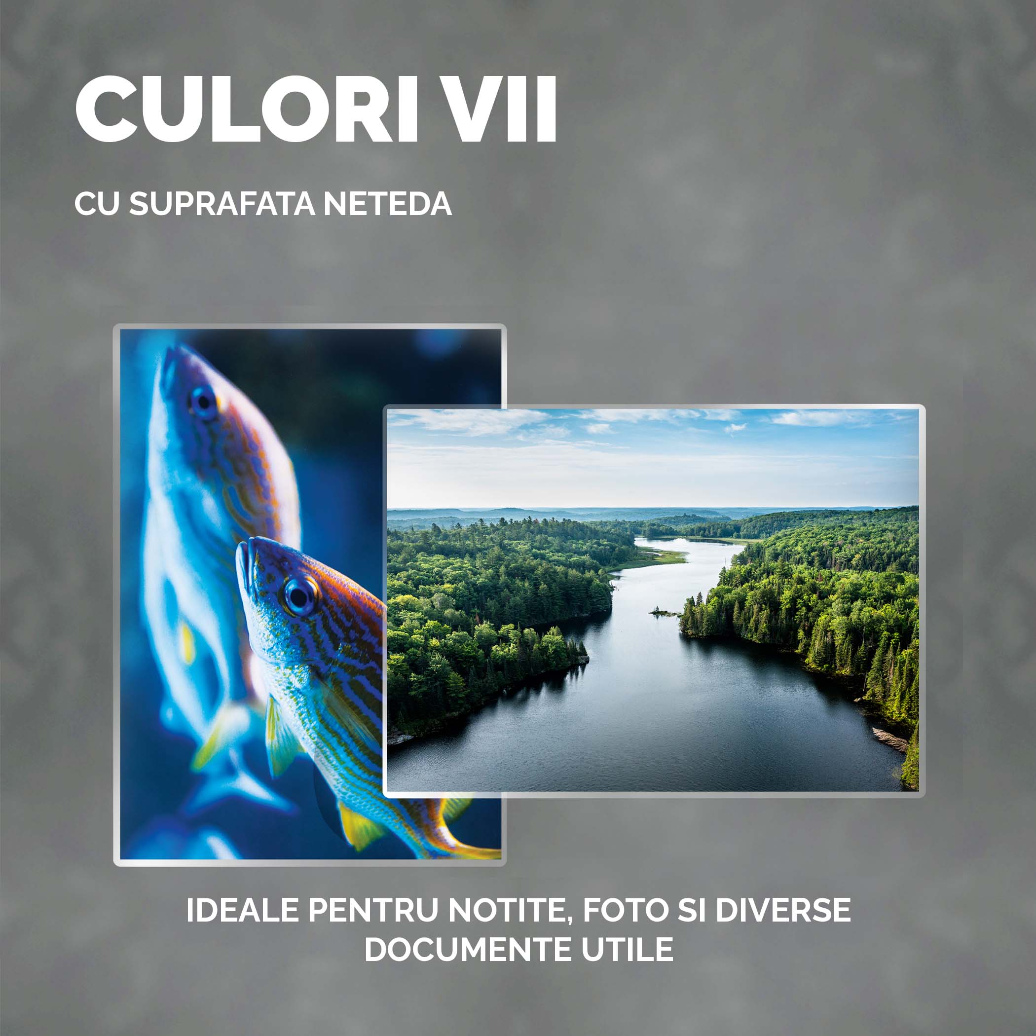 Folie A3 80 Microni 100/Top Fellowes
