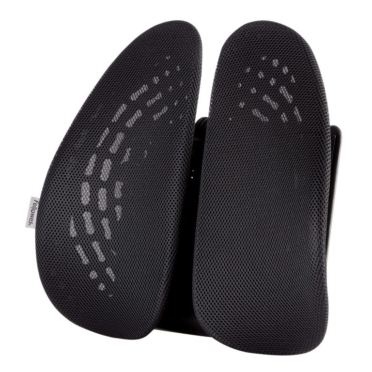 Suport Ergonomic Pentru Spate Back Angel Fellowes