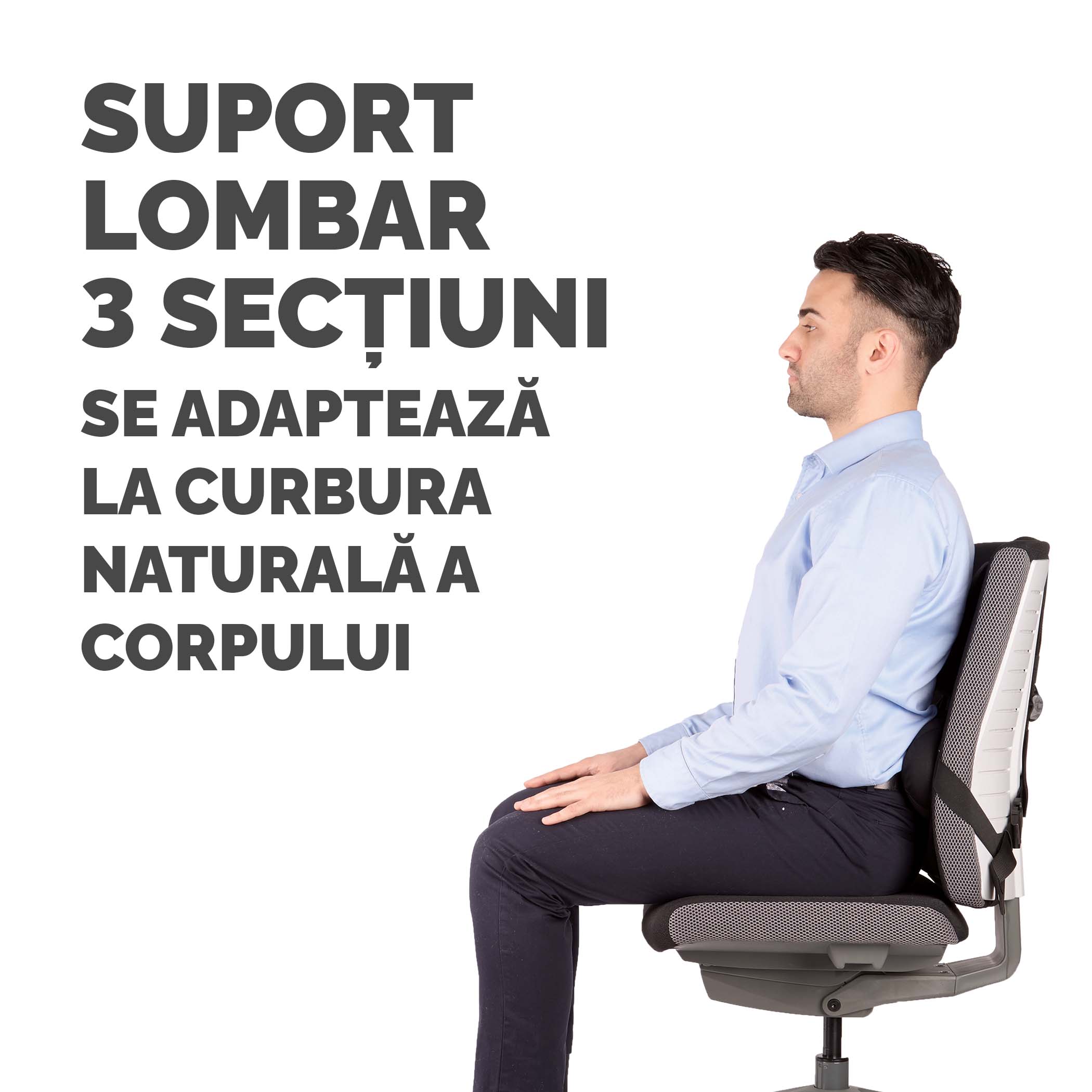 Suport Ergonomic Pentru Spate Pro Series Ultimate Fellowes