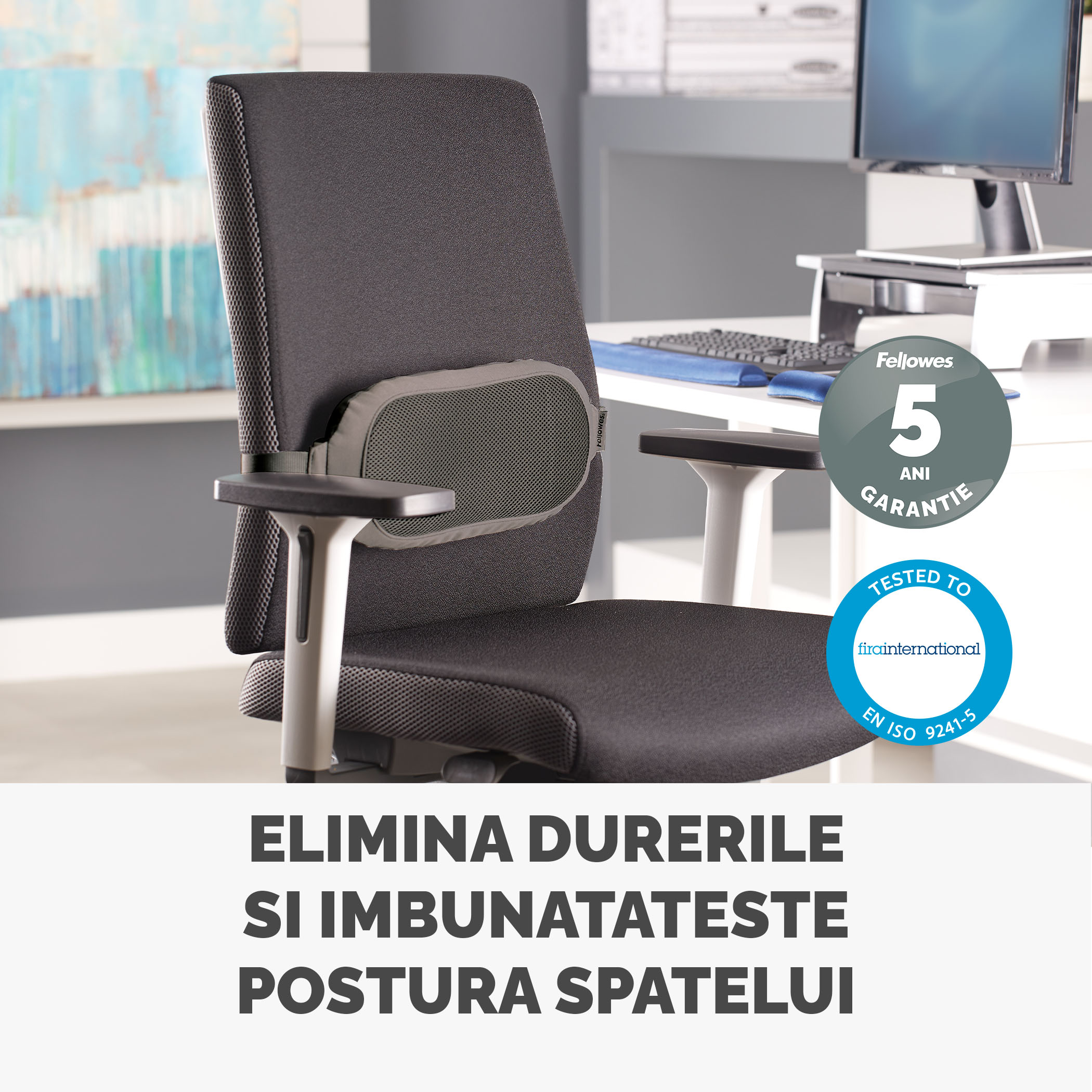 Suport Ergonomic Pentru Spate I-Spire Fellowes