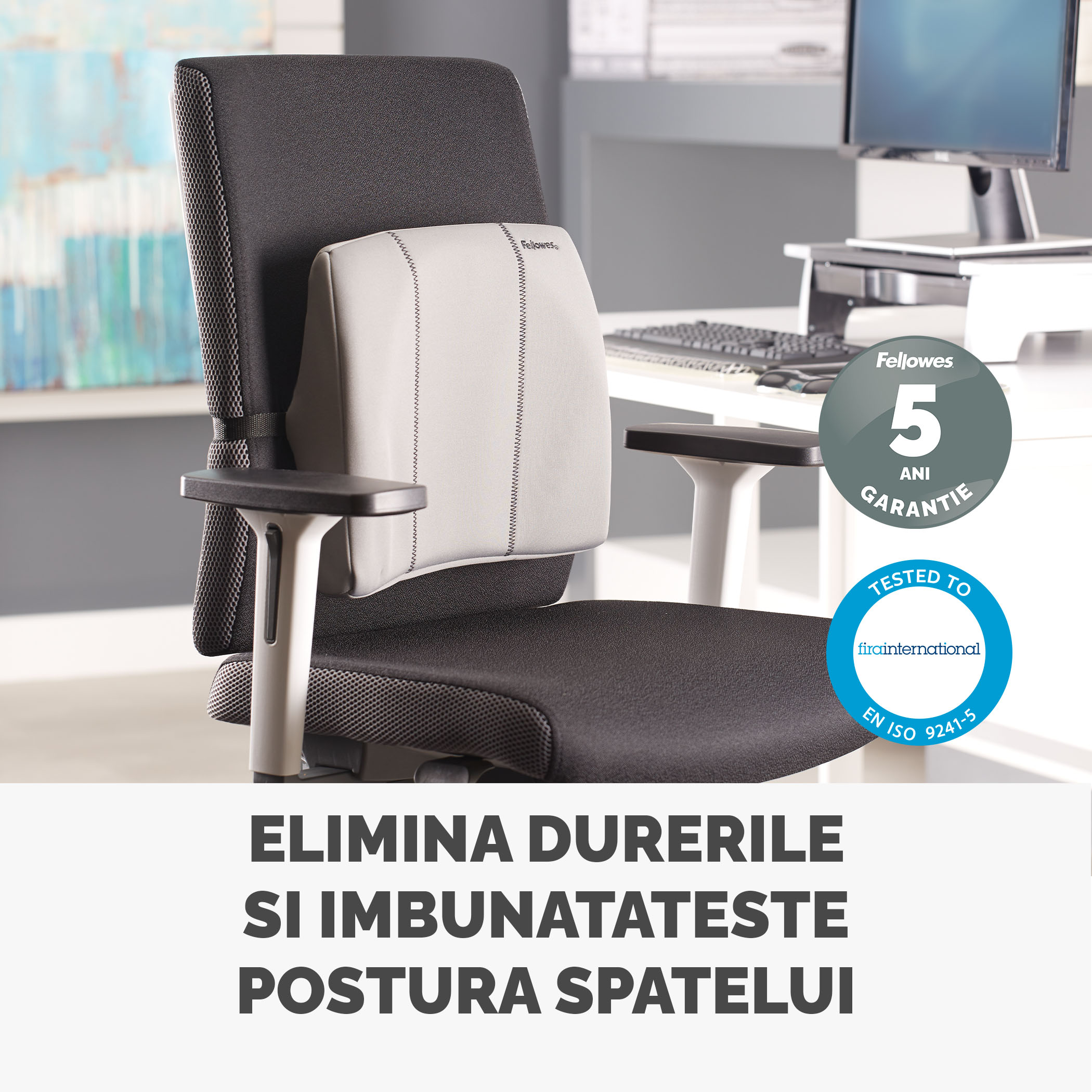 Suport Ergonomic Pentru Spate Gri Fellowes