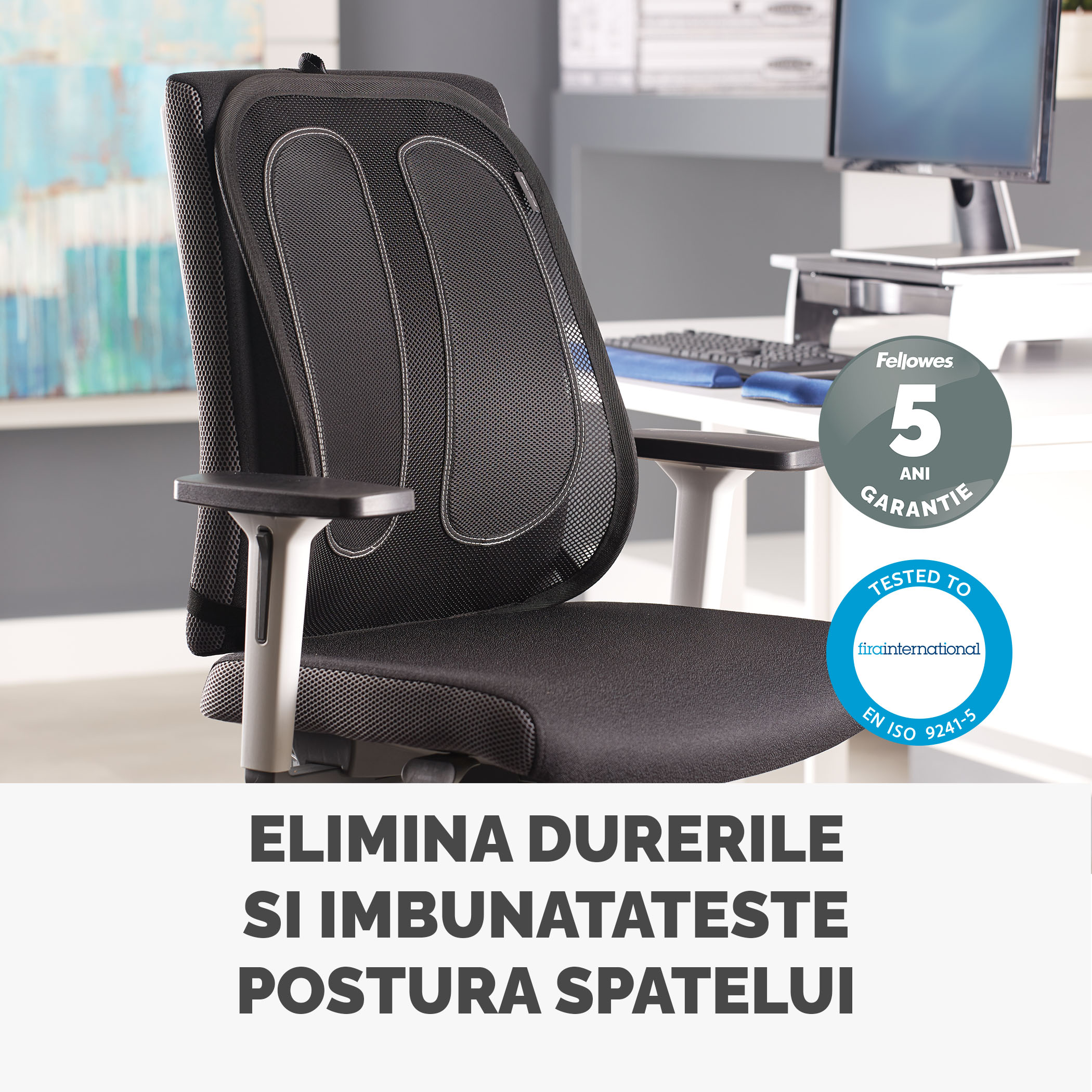 Suport Ergonomic Pentru Spate Mesh Fellowes