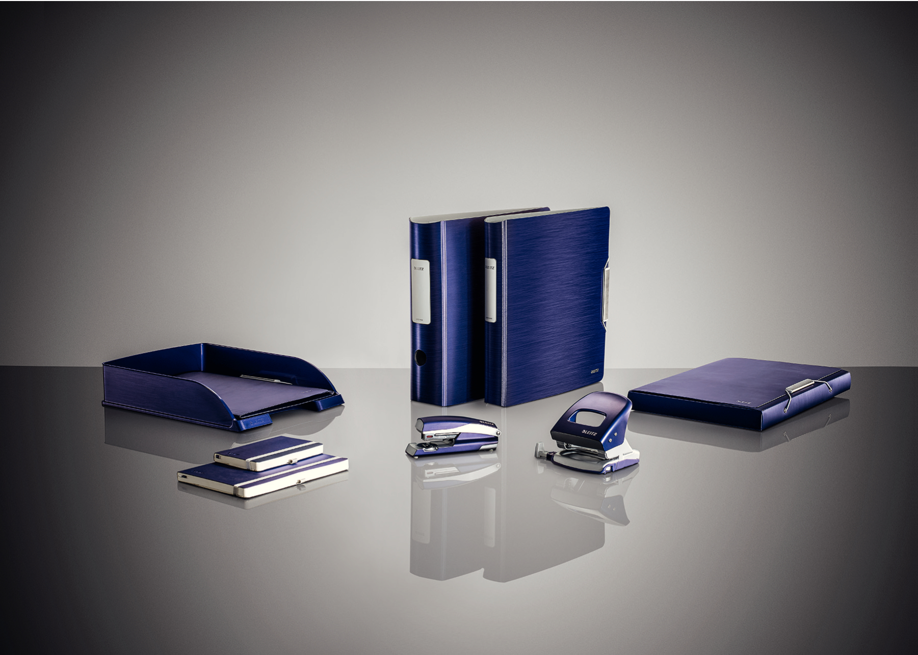 Biblioraft Plastifiat 7.5cm 180Grade Albastru-Violet Style Leitz