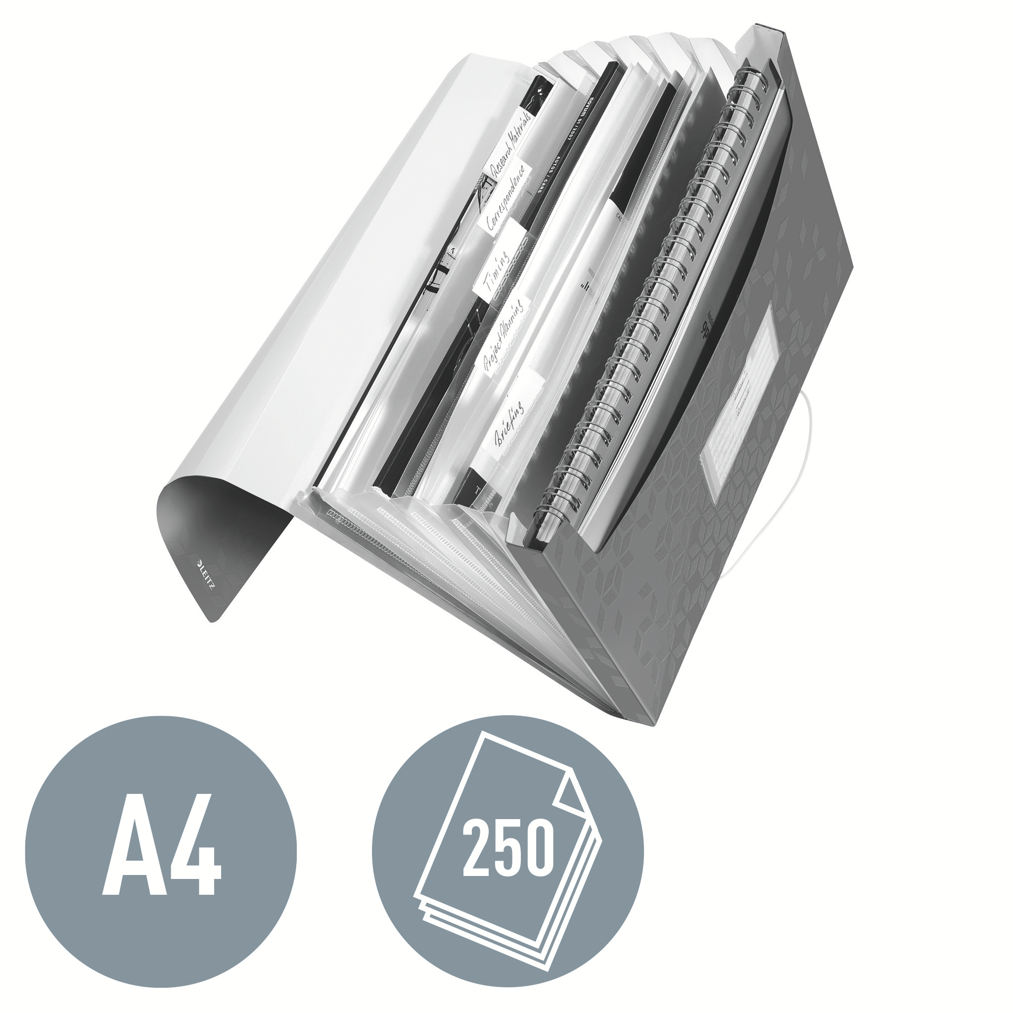 Mapa Plastic 6 Compartimente Rosie Tip Proiect Wow Leitz