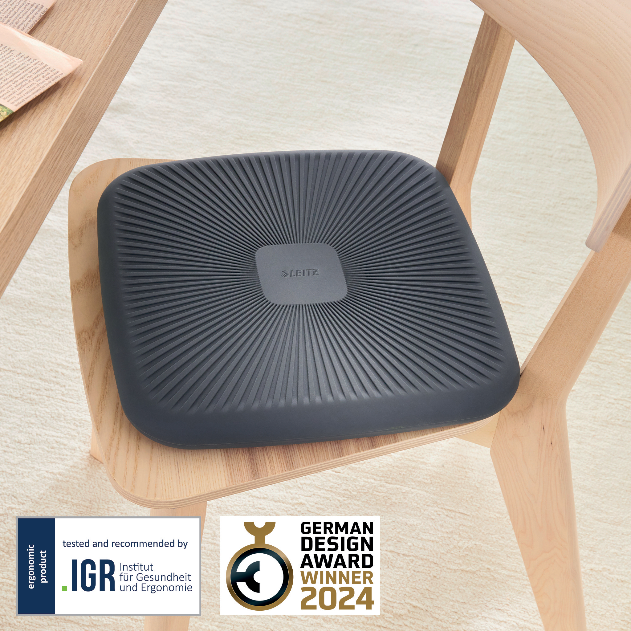 Pernuta Ergonomica Scaun Gri Carbune Ergo Leitz