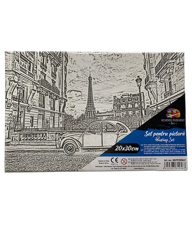 Panza Predesenata Pe Sasiu 20 X 30cm Paris Sf Art Pigna
