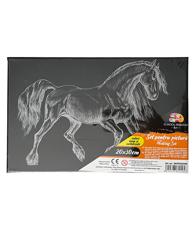 Panza Predesenata Pe Sasiu Neagra 20*30cm Cal Sf Art Pigna