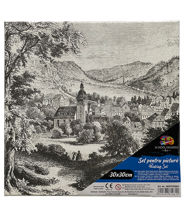 Panza Predesenata Pe Sasiu 30 X 30cm Peisaj Sf Art Pigna