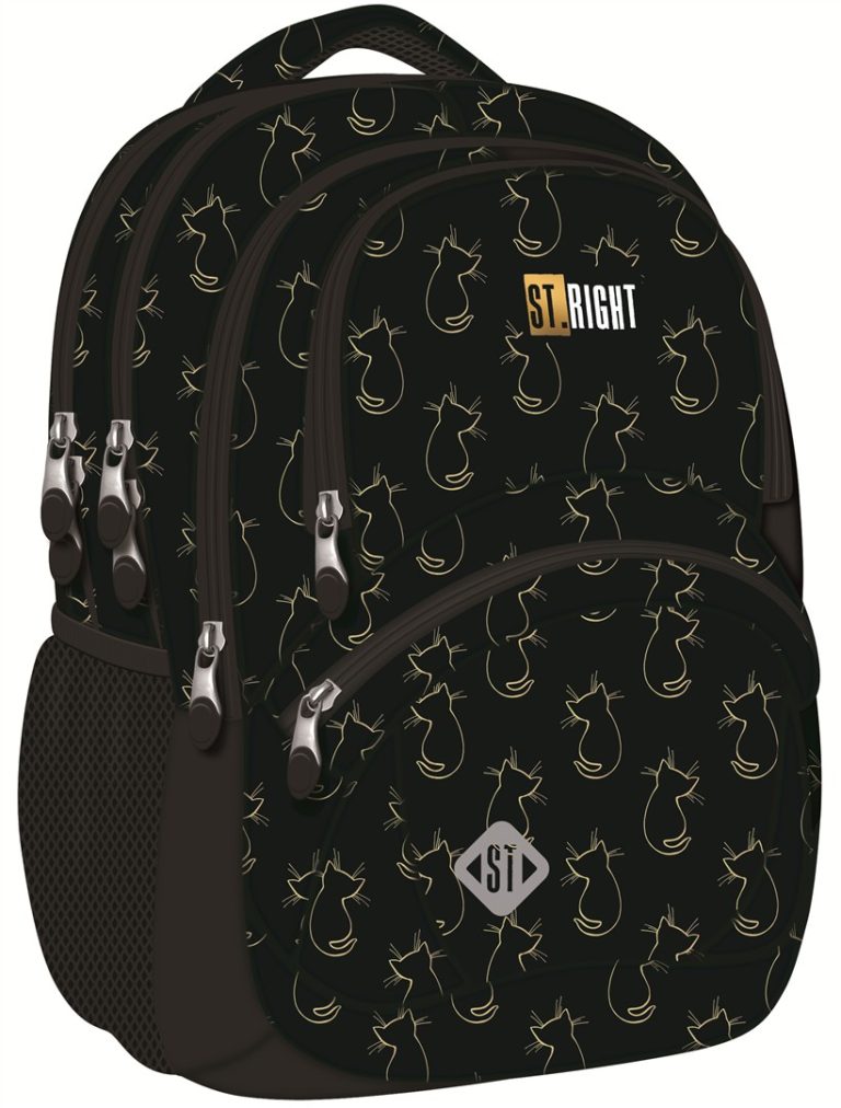 Ghiozdan Liceu Bp-05 Golden Cats St.Right Majewski