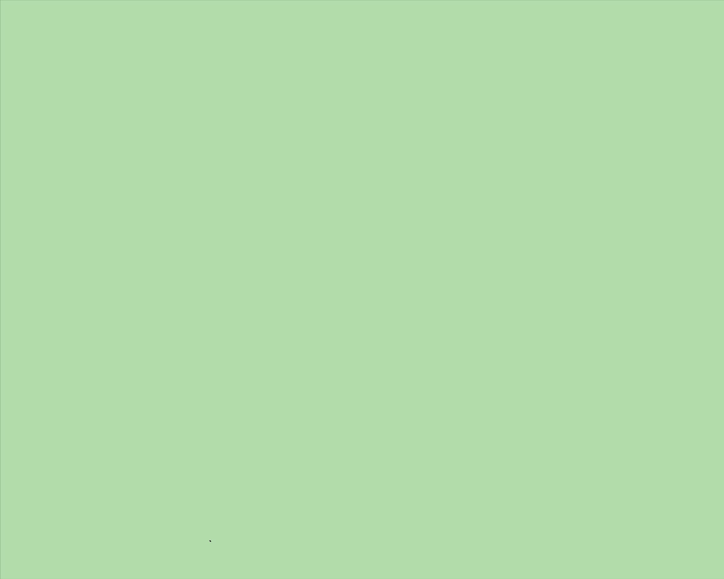 Carton Copiator A4 Verde Deschis Pal 160g 250/Top Mg28 Niveus