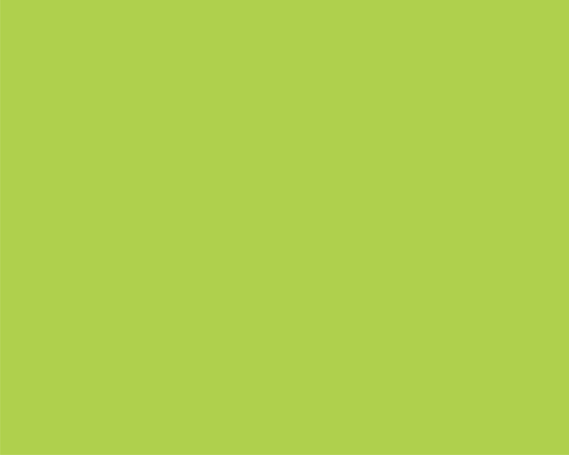 Carton Copiator A4 Verde Lime Intens 160g 250/Top Lg46 Niveus