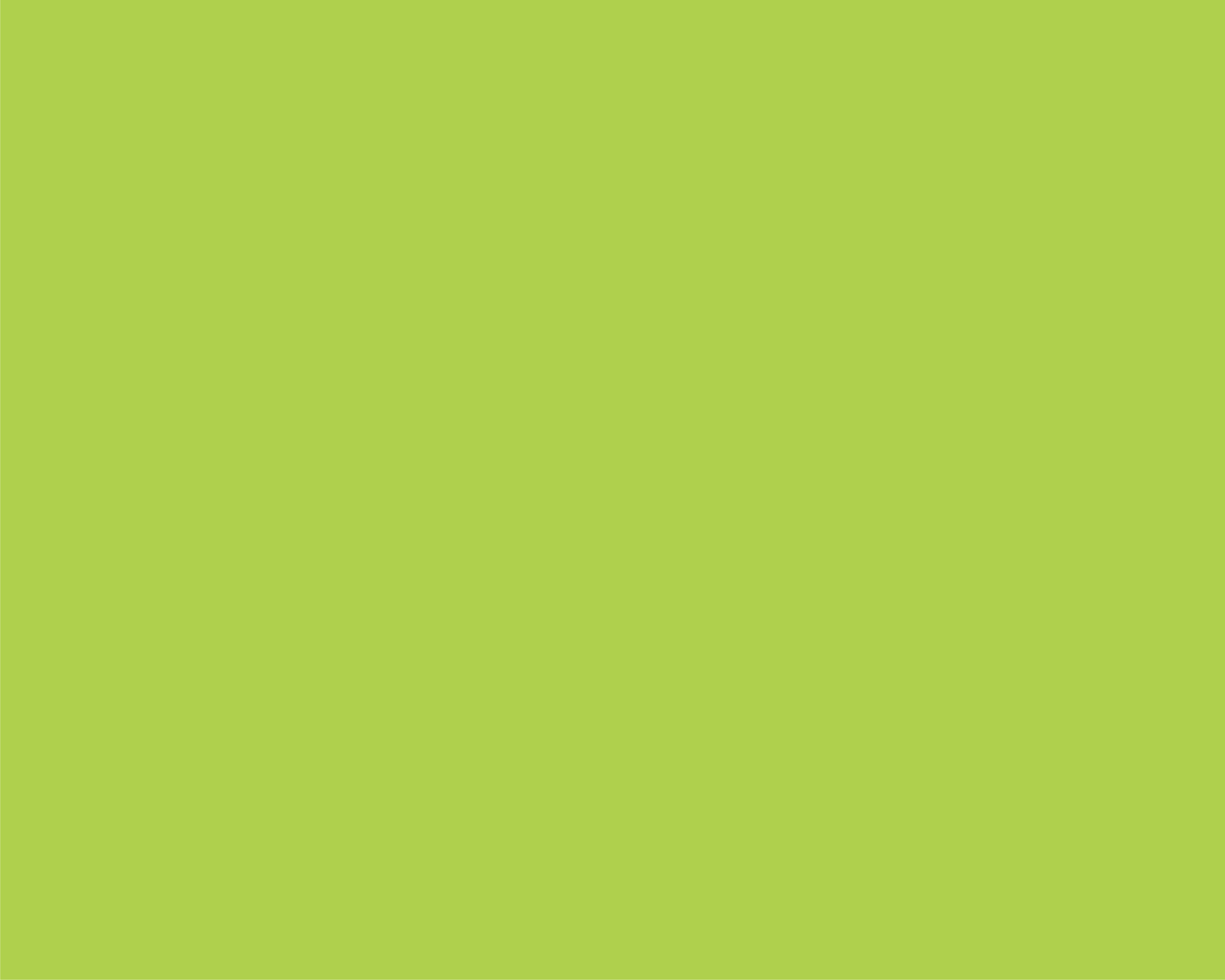 Hartie Copiator A4 Verde Lime Intens 80g 500/Top Lg46 Niveus
