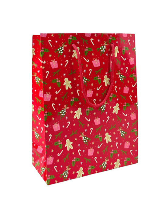 Pungi Cadou Lapland L 240 X 100 X 335mm Rotolux